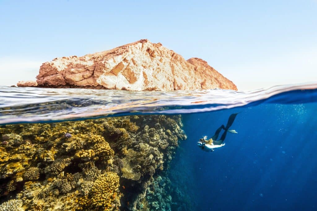 Red sea