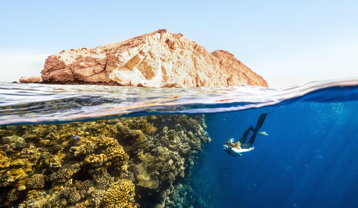 Red sea